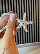 IMG_2065.JPEG